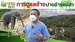 รอบรู้เรื่องช้าง By หมอตุ๊ก EP.22 การดูแลช้าง ปางช้างแม่สา | TheChangChannel