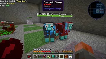 StoneBlock E10 - Storage Scanning and Roost Resources