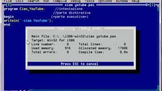 programmare pascal-1 Wealth