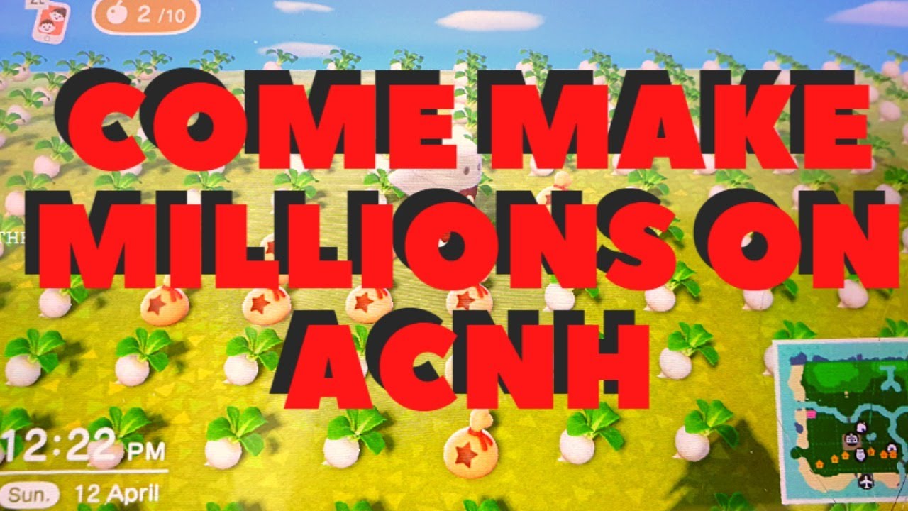 ACNH TURNIPS SELL 497 LIVE NOW! Read description to join discord for dodo code YouTube