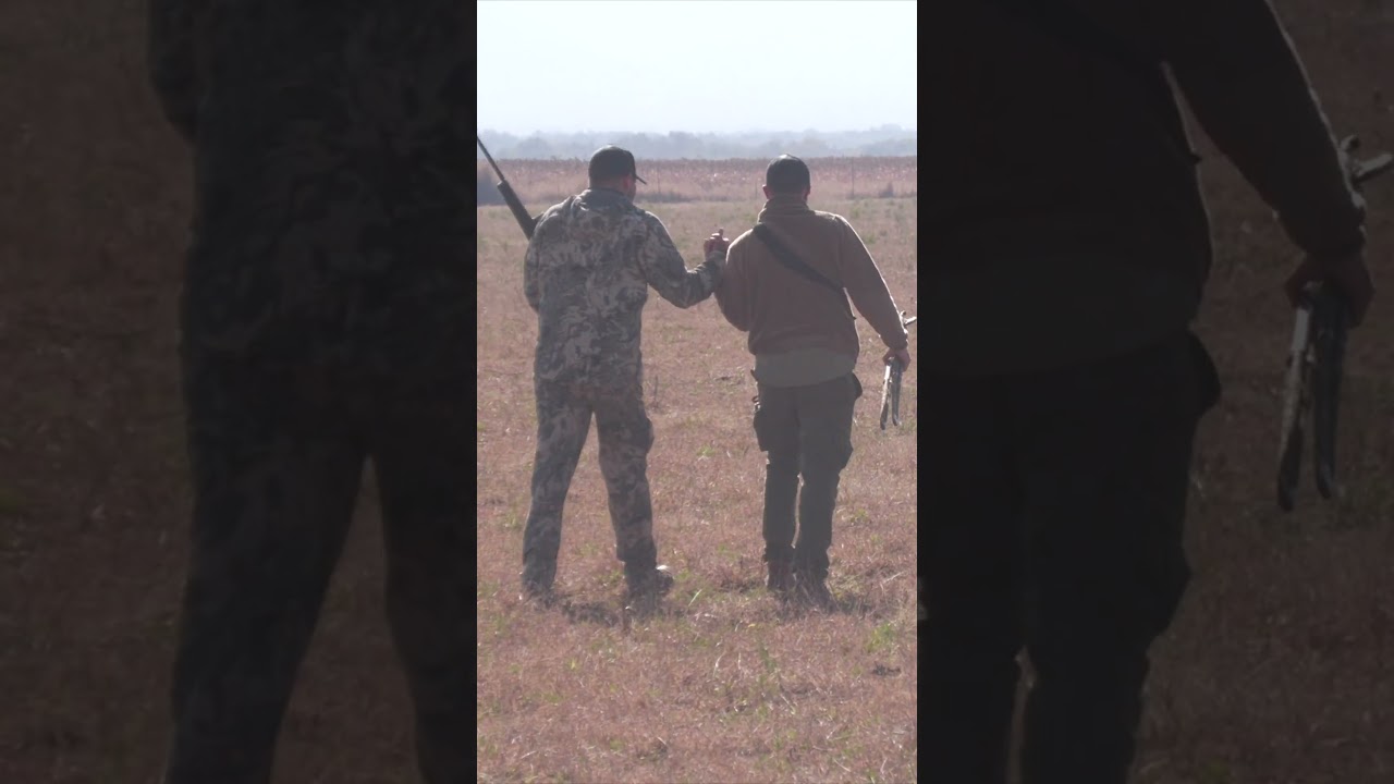 Hunting Blesbuck #hunting #wildlife