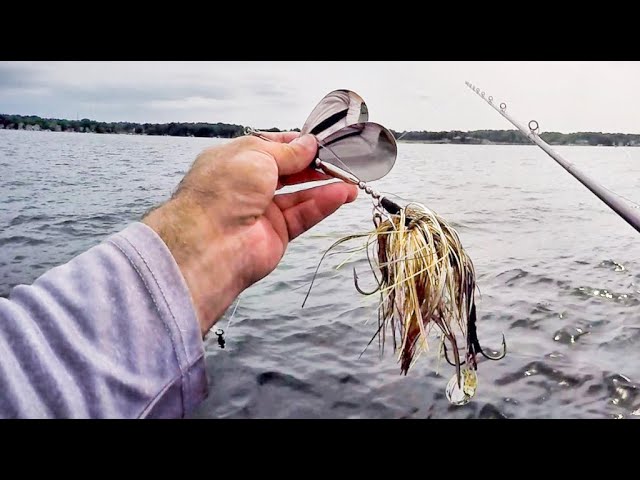 Sarley: Local angler reels in giant muskie at Crystal Lake – Shaw Local