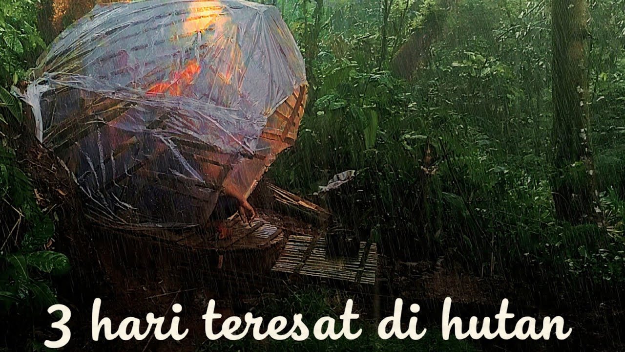 Tersesat 3 Hari di Hutan Saat Hujan Deras – Membangun Shelter & Memasak untuk Bertahan Hidup