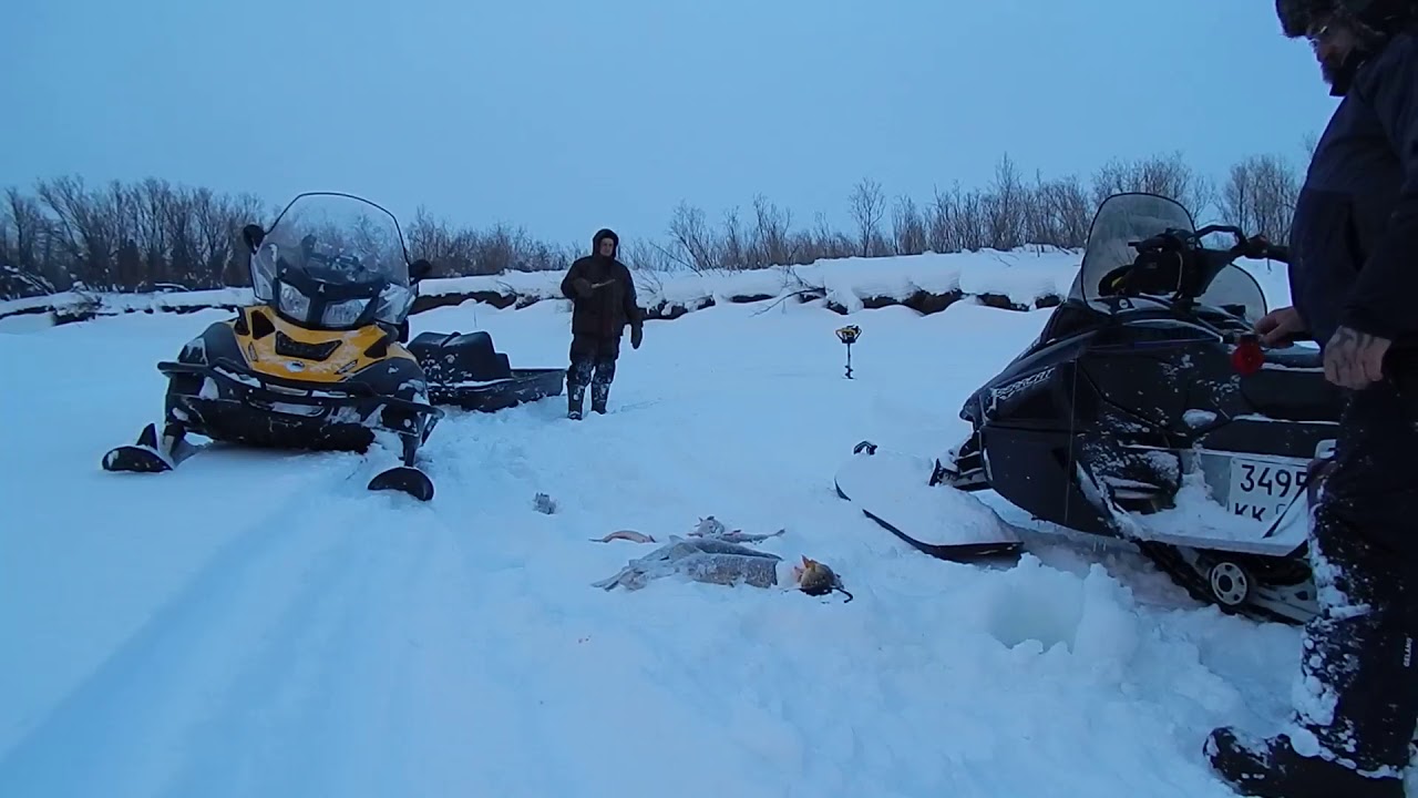 Мы были на рыбалке..