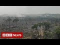 New video by BBC News on YouTube
