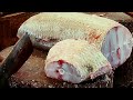 Amazing New Skills! Fastest Giant Bhetki Fish Cutting in Fish Market | Cutting Skills