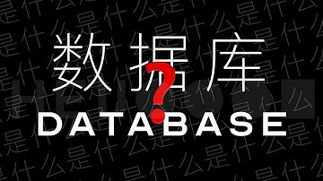 [分享] 数据库到底是什么鬼东西 | 数据库是怎么工作的 | 什么是shema index