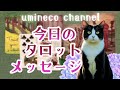【5月19日】限界から開放してあげる日 今まで本当によくがんばりました 直感が助けてくれます🌟しあわせになる力を引きだすタロットセラピー