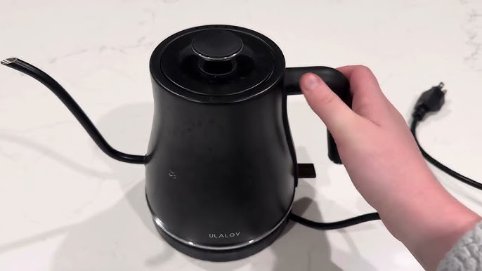 Unboxing & Testing: Taylor Swoden Electric Kettle with Tea Infuser! 