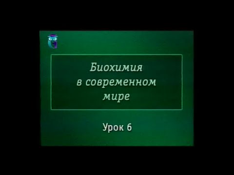 Биохимия. Урок 6. Углеводы: моносахариды, дисахариды, полисахариды. Практическое применение