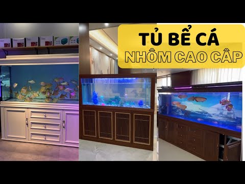 Video: Bể Cá Trong Vảy Nhôm