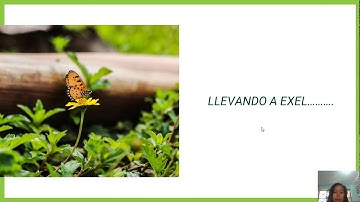 PROGRAMACION LINEAL EN LA EMPRESA «MIRAMAR RESTAURANT»