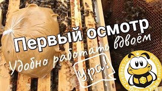 Осмотр пчёл после зимовки Подкормка Пчеловодство на Урале Свердловская обл