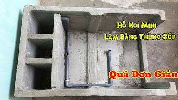 Chia sẽ cách làm hồ cá koi mini và ngăn lọc bằng thùng xốp