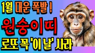 2025년 1월 원숭이띠 운세 돈벼락 맞고 운명이 바뀐다ㅣ풍수ㅣ건강운ㅣ재물운ㅣ돈복
