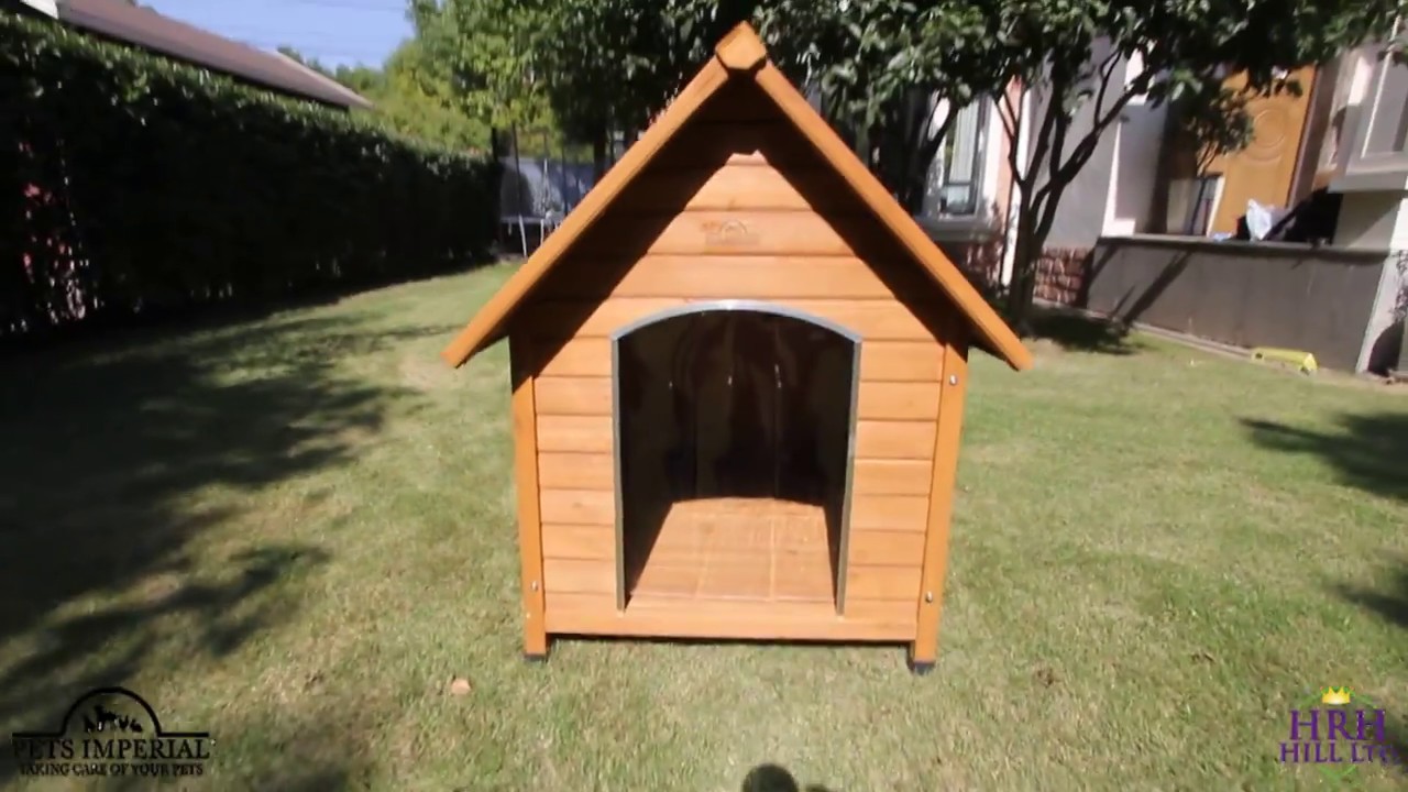 used large dog house