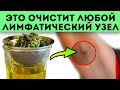 А вы часто чистите лимфу? Симптомы, причины + 11 рецептов как очистить лимфатическую систему