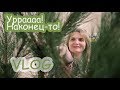 VLOG Ставим ёлку. Опять перестановка.