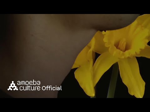 프라이머리(Primary) - '밤꽃 (Night Flower) (Feat. 카더가든)' 밤(Night) Ver. Video Clip