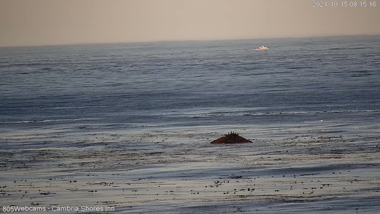 Cambria cam Boats 805 cams YouTube