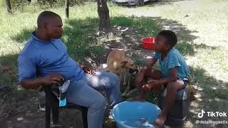 South African Comedy ➡ Amahlaya Esizulu Urgent