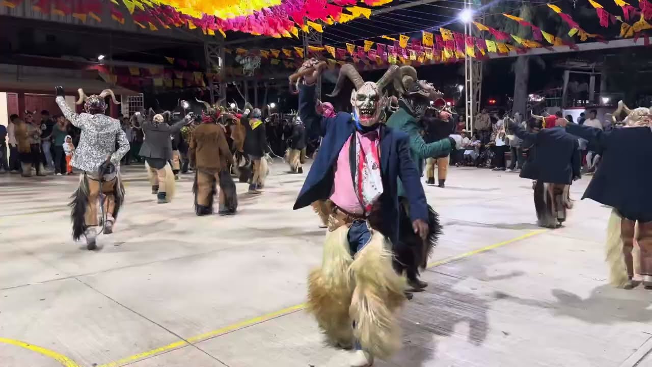 Danza de los Diablos en San Sebastián Tecomaxtlahuaca ❣️