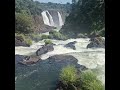 the river flows into Iguazu Falls 이과수 폭포 상류