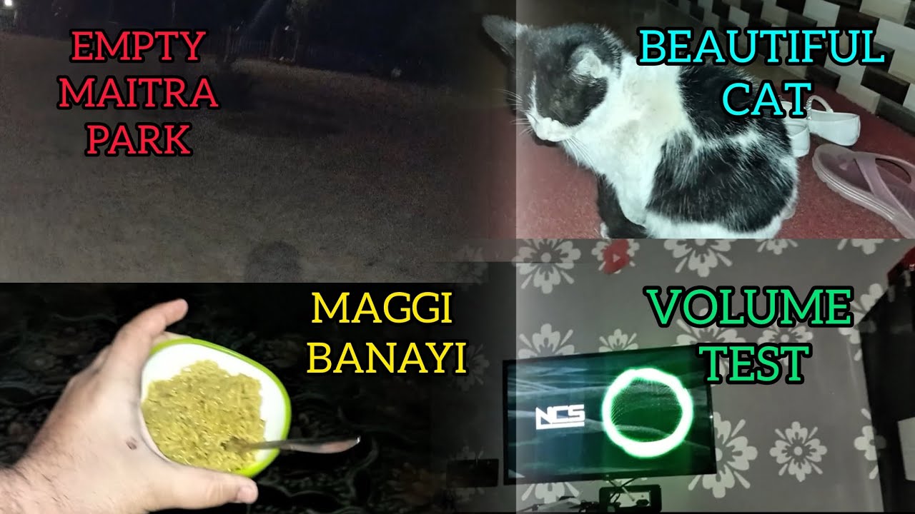 Aaj Ka Din: Khali Park, Pyaari Cat aur Maggi Party!(Volume Full Kar Do 🔊)