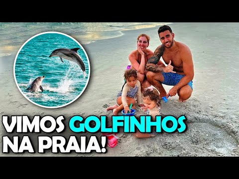 Vimos 3 golfinhos na praia de Anna Maria na Flórida!