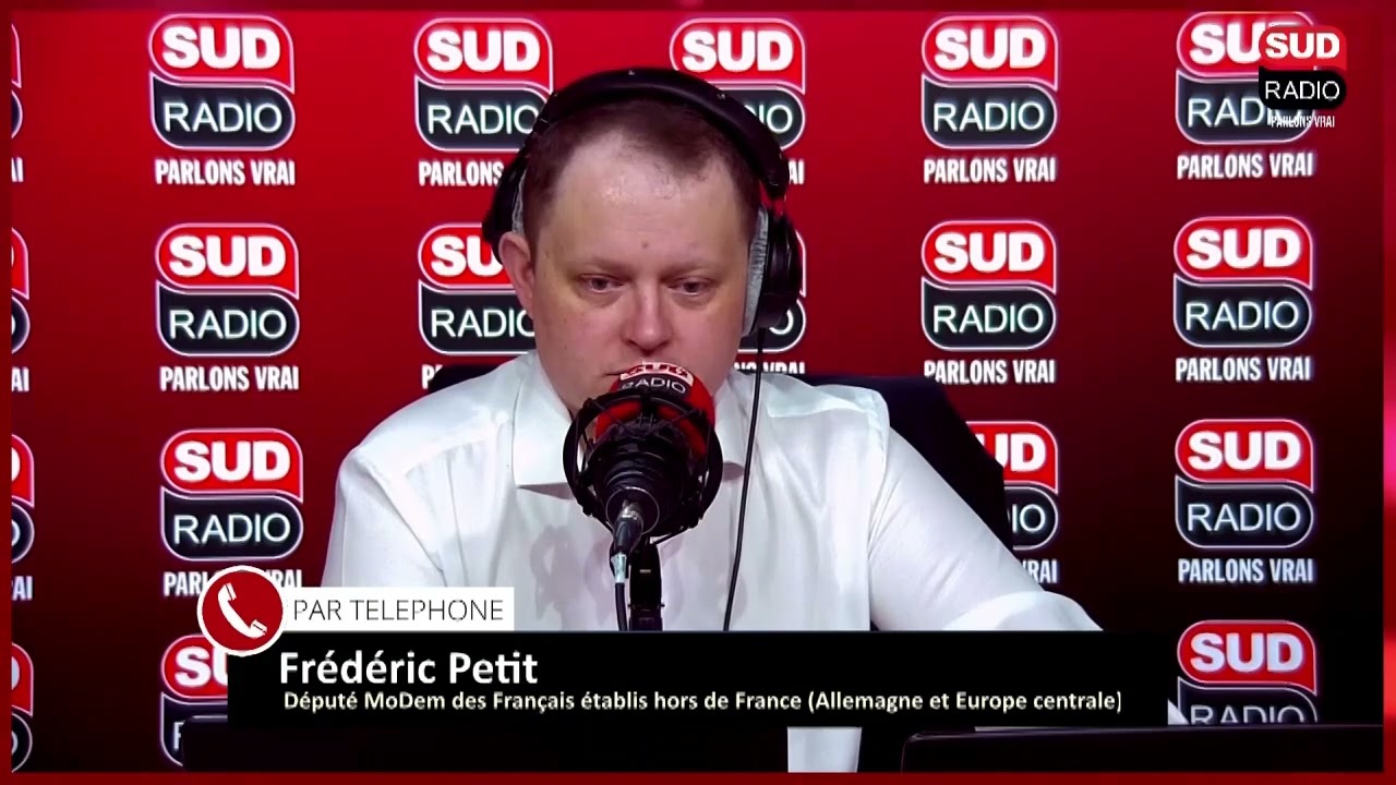 Législatives allemandes : l'AFD peut-elle gagner ?