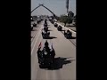 نحن دائمآ أقوياء لا نخاف من أحد التاريخ يشهد لنا سور الوطن أسود الرافدين 