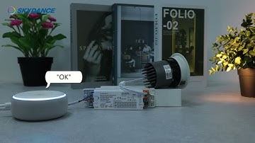 Smart Dimming LED Drivers-Tuya APP Control | Voice Control | Remote Contro | Push Dim