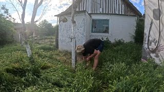 ПРОРВАЛА ТРАВУ ВРУЧНУЮ../ ЖИЗНЬ В ДЕРЕВНЕ #villagelife 