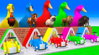 5 Giant Duck, Monkey, Piglet, chicken, dog, cat, cow, Sheep, Transfiguration funny animal 2023 by H2H Animals 3D 53,688 views 1 month ago 1 hour, 46 minutes