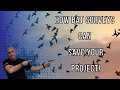 How Bat Surveys Can Save Your Project from a 12 Month Delay!