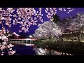 山口ひろみ 夜桜恋あかり
