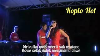Dangdut Koplo Indonesia - Suket Teki Full Lirik