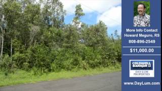 Land For Sale Puna HI Real Estate on 0.37 Acres-Acres $11000.00 Puna HI Howard Meguro RS