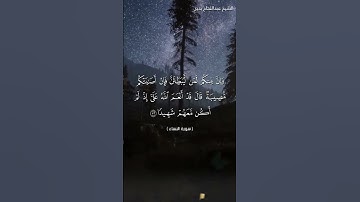 تلاوة طيبة من محراب مسجد شكيب ما تيسر من سورة النساء #اكسبلور #دويتو
