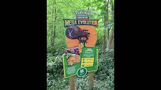 Kingston Lacy - Pokémon Trail - Nat Trust Dorset
