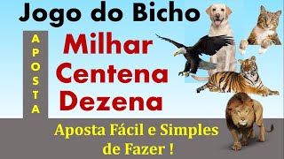 Jogo do Bicho -  Milhar, Centena e Dezena Aposta mais Fácil e Comum de Fazer !