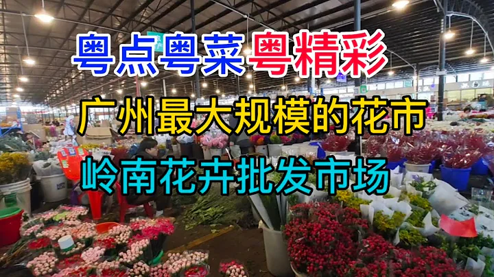 粵點粵菜粵精彩，廣州最大規模的花市，嶺南花卉批發市場，粵語中字幕 - 天天要聞