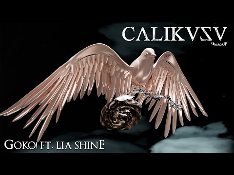 GOKO! - ÇALIKUŞU feat. Lia Shine (Visualizer Video)