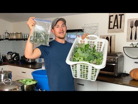 Video: How To Freeze Greens