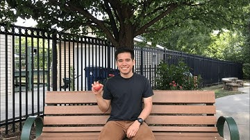 Why Do Apples Fall? (Gravity Explained)