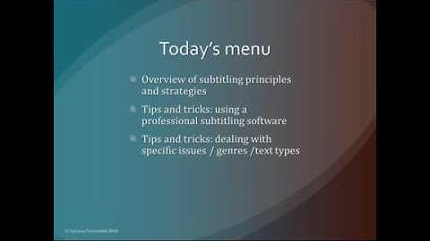 Subtitling - a professional perspective