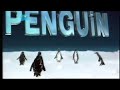Penguin films 2013