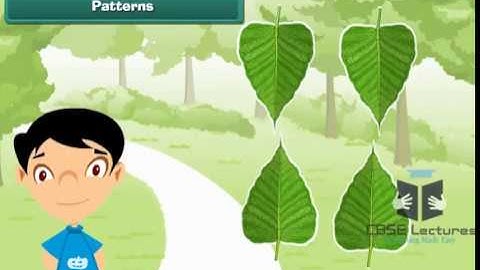 Pattern Class 2 Maths by CBSE Lectures