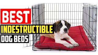 ✅Top 5 Best Indestructible Dog Beds in 2023