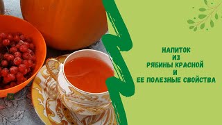 Напиток из рябины красной и ее полезные свойства Напиток из рябины красной и ее полезные свойства